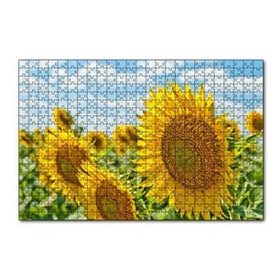 Cakapuzzle Günebakan Çiçekleri 120 Parça Ahşap Puzzle