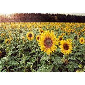 Cakapuzzle Günebakan Tarlası 120 Parça Ahşap Puzzle