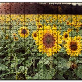 Cakapuzzle Günebakan Tarlası Mdf 500 Parça Puzzle