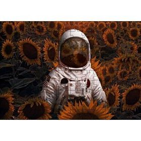 Cakapuzzle Günebakan Tarlasında Astoronot Görseli 120 Parça Ahşap Puzzle