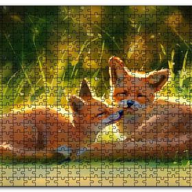 Cakapuzzle Güneşlenen İki Kızıl Tilki Görseli Mdf 120 Parça Puzzle