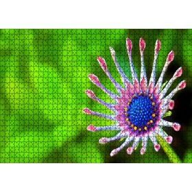 Cakapuzzle Güney Afrika Papatyası Görseli Mdf 1000 Parça Puzzle