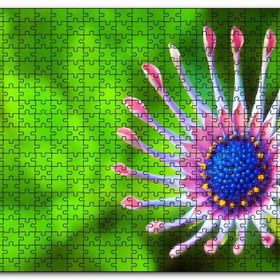 Cakapuzzle Güney Afrika Papatyası Görseli Mdf 120 Parça Puzzle