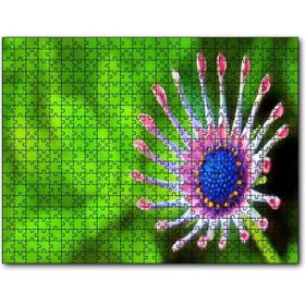 Cakapuzzle Güney Afrika Papatyası Görseli Mdf 120 Parça Puzzle