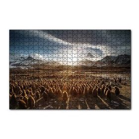 Cakapuzzle Güney Georgiada Kral Pengueni Yavruları 120 Parça Ahşap Puzzle