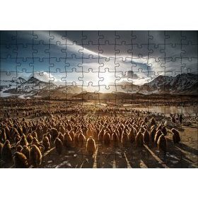 Cakapuzzle Güney Georgiada Kral Pengueni Yavruları 120 Parça Ahşap Puzzle