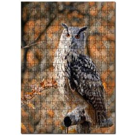 Cakapuzzle Gururlu Baykuş Görseli Mdf 500 Parça Puzzle