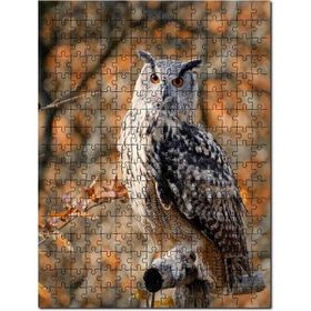 Cakapuzzle Gururlu Baykuş Görseli Mdf 500 Parça Puzzle