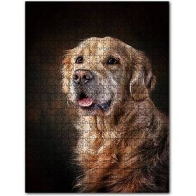 Cakapuzzle Güzel Golden Retriever Köpek Resimleri Ahşap 1000 Parça Puzzle