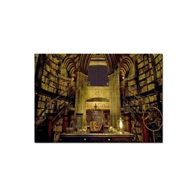 Cakapuzzle Harry Potter Kütüphane Gizli Çömlekçi Cadı Mdf 255 Parça Puzzle