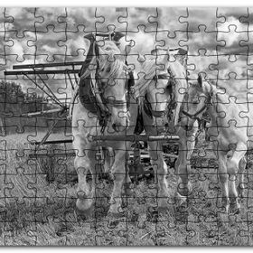 Cakapuzzle Hasat Yapan İki At ve Yanlarındaki Tay Monokrom Mdf 120 Parça Puzzle
