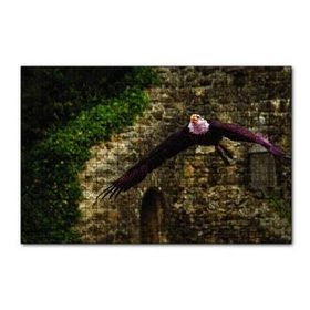 Cakapuzzle Havada Süzülen Kartal 120 Parça Ahşap Puzzle