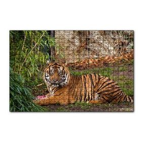 Cakapuzzle Hayvanat Bahçesinde Kaplan 120 Parça Ahşap Puzzle