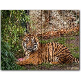 Cakapuzzle Hayvanat Bahçesinde Kaplan 255 Parça Puzzle