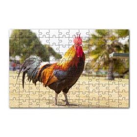 Cakapuzzle Heybetli Horoz Flu Çiftlik Arkaplan 120 Parça Ahşap Puzzle