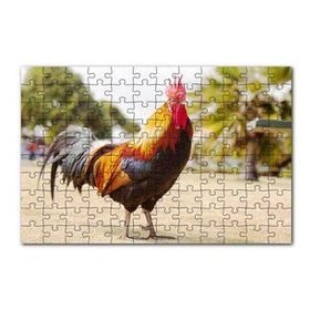 Cakapuzzle Heybetli Horoz Flu Çiftlik Arkaplan 120 Parça Ahşap Puzzle