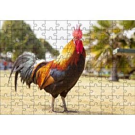 Cakapuzzle Heybetli Horoz Flu Çiftlik Arkaplan 120 Parça Ahşap Puzzle