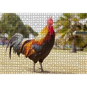Cakapuzzle Heybetli Horoz Flu Çiftlik Arkaplan 120 Parça Ahşap Puzzle