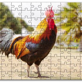 Cakapuzzle Heybetli Horoz Flu Çiftlik Arkaplan Mdf 1000 Parça Puzzle