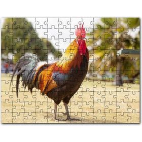 Cakapuzzle Heybetli Horoz Flu Çiftlik Arkaplan Mdf 1000 Parça Puzzle