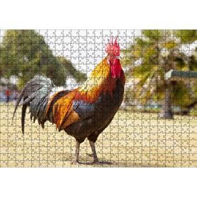 Cakapuzzle Heybetli Horoz Flu Çiftlik Arkaplan Mdf 500 Parça Puzzle