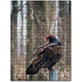 Cakapuzzle Hindi Akbabası Ahşap 500 Parça Puzzle