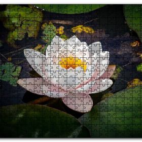 Cakapuzzle Hint Lotusu Su Üzerinde Görsel Mdf 120 Parça Puzzle
