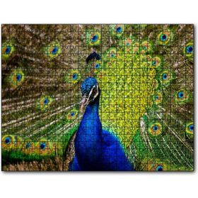 Cakapuzzle Hint Tavuskuşu Mdf 500 Parça Puzzle
