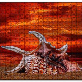Cakapuzzle Holiday Beach Ahşap 500 Parça Puzzle