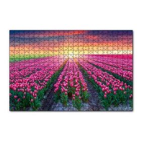 Cakapuzzle Hollanda Gündoğumunda Lale Tarlaları 120 Parça Ahşap Puzzle