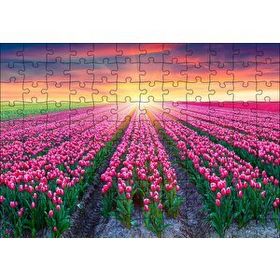 Cakapuzzle Hollanda Gündoğumunda Lale Tarlaları 120 Parça Ahşap Puzzle