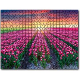 Cakapuzzle Hollanda Gündoğumunda Lale Tarlaları Mdf 1000 Parça Puzzle