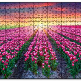 Cakapuzzle Hollanda Gündoğumunda Lale Tarlaları Mdf 120 Parça Puzzle
