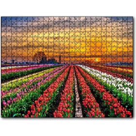 Cakapuzzle Hollandada Günbatımı ve Lale Tarlaları 120 Parça Puzzle