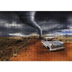 Cakapuzzle Hortumdan Kaçan Otomobildeki Maymun 500 Parça Puzzle
