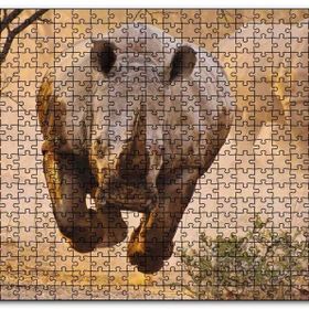 Cakapuzzle Hücum Halindeki Gergedan ve Arkada Ailesi Mdf 1000 Parça Puzzle