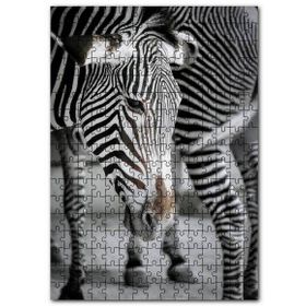 Cakapuzzle Hüzünlü Zebra ve Burnundaki Leke Mdf 255 Parça Puzzle