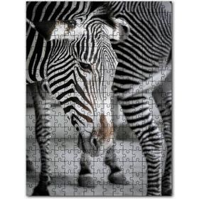 Cakapuzzle Hüzünlü Zebra ve Burnundaki Leke Mdf 255 Parça Puzzle