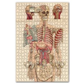Cakapuzzle İç Organlar İnsan Anatomisi Görseli Ahşap 1000 Parça Puzzle