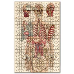 Cakapuzzle İç Organlar İnsan Anatomisi Görseli Ahşap 1000 Parça Puzzle