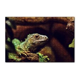 Cakapuzzle İguana Yakın Plan Flu Arkaplan 120 Parça Puzzle