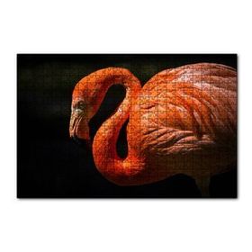 Cakapuzzle İhtiyar Flamingo Karanlık Arkaplan 120 Parça Puzzle