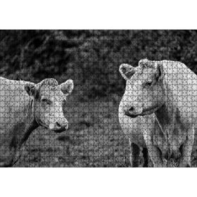 Cakapuzzle İki Beyaz İnek Görseli 120 Parça Ahşap Puzzle