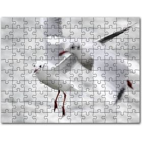 Cakapuzzle İki Martı Yakın Çekim Flu Deniz Arkaplan Puzzle