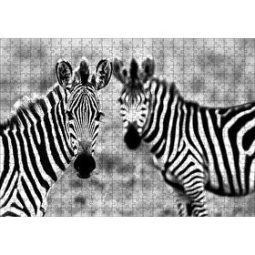 Cakapuzzle İki Sevimli Zebra Görseli 120 Parça Ahşap Puzzle