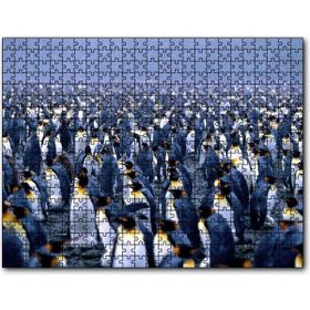 Cakapuzzle Imparator Penguenleri Mahşer Kalabalığı 1000 Parça Puzzle