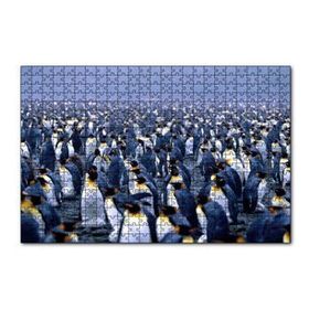 Cakapuzzle İmparator Penguenleri Mahşer Kalabalığı 120 Parça Ahşap Puzzle