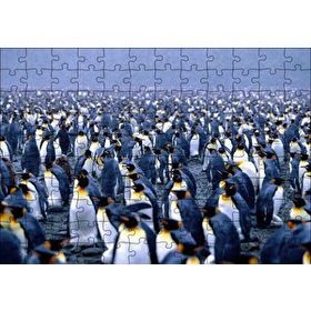 Cakapuzzle İmparator Penguenleri Mahşer Kalabalığı 120 Parça Ahşap Puzzle