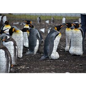 Cakapuzzle İmparator Penguenleri ve Yavru 120 Parça Ahşap Puzzle