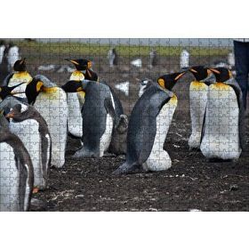 Cakapuzzle İmparator Penguenleri ve Yavru 120 Parça Ahşap Puzzle